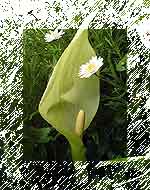 01 May 2005