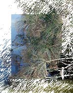 12 October 2006