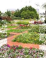 17 April 2006