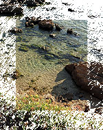 25 November 2006